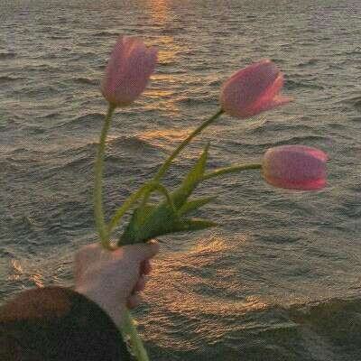 半岛·综合体育中国