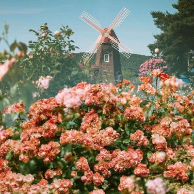 澳门新葡萄新京8883手机app下载截图