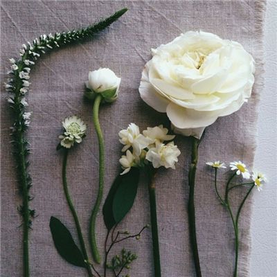 ayx在线登录入口下载手机版