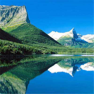 加拿大pc软件平台手机app下载